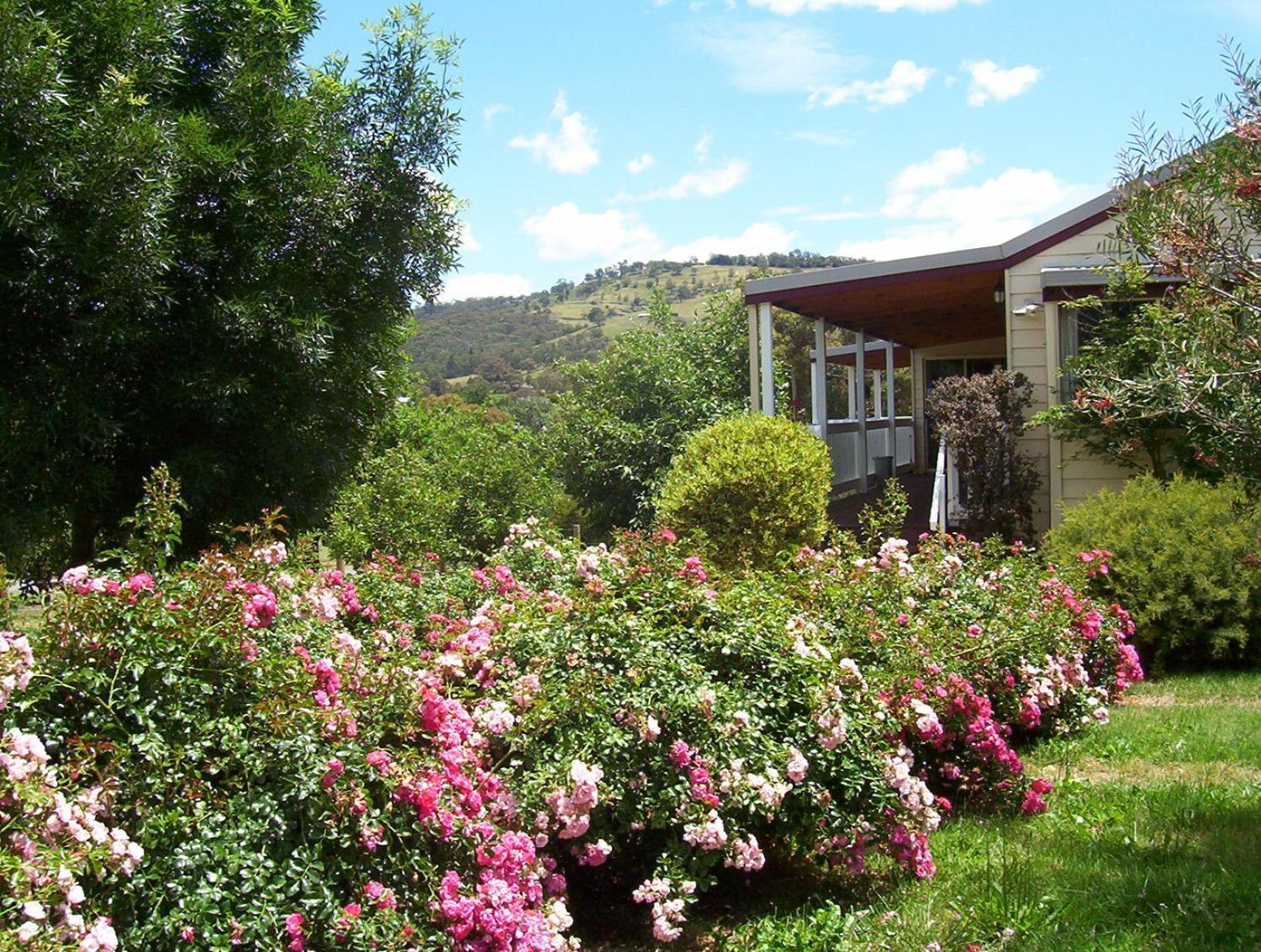 Yarra Glen Bed & Breakfast Ngoại thất bức ảnh